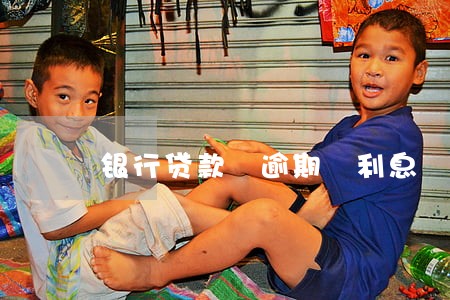 银行贷款 逾期 利息 规定 银行贷款 逾期 利息 规定